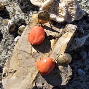 Orecchini oro e corallo ”BAROQUE” – Orecchini corallo –